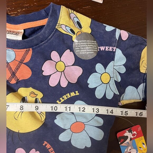 NWT Looney Tunes Tweety Shorts Set 5 / 5T - Picture 6 of 8